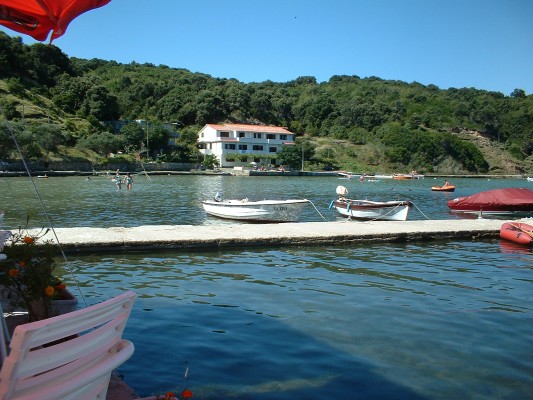 2002081401_008.jpg