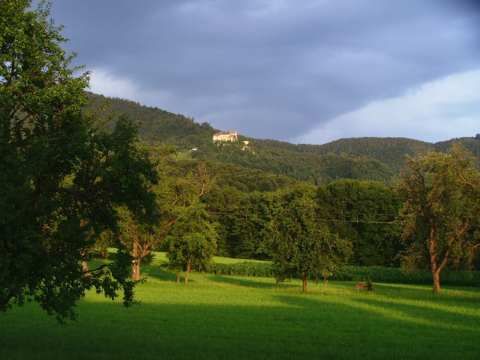 sommer2005-0009.jpg