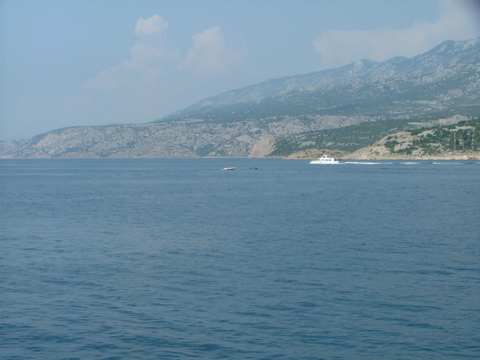 sommer2005-0070.jpg