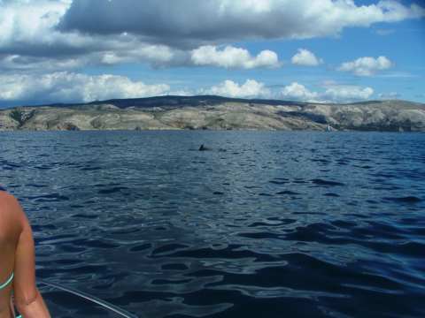 sommer2005-0114.jpg