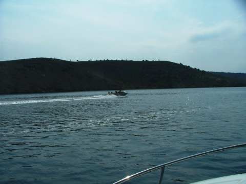 sommer2005-0226.jpg