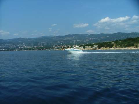sommer2005-0246.jpg