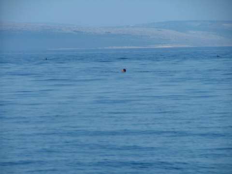sommer2005-0268.jpg