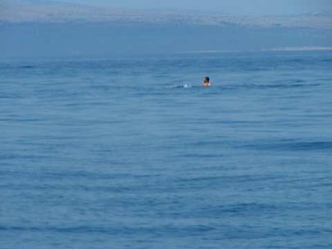 sommer2005-0269.jpg