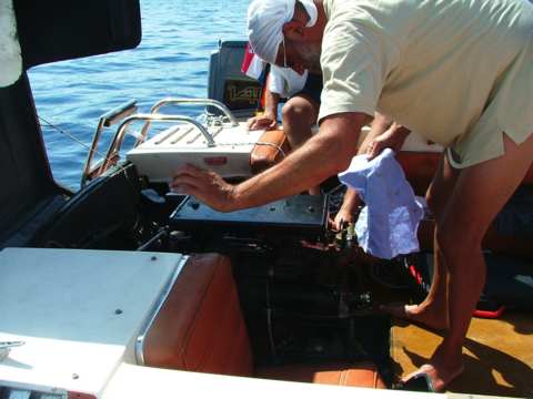 sommer2005-0287.jpg