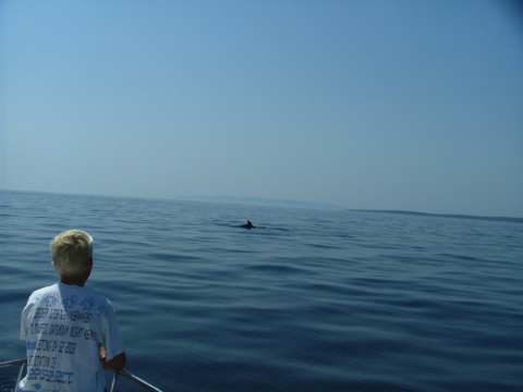 sommer2005-0313.jpg