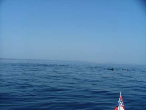 sommer2005-0315.jpg