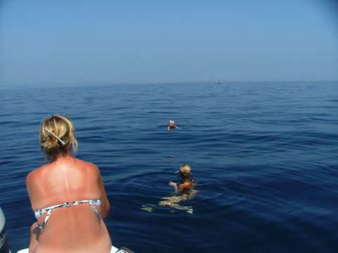 sommer2005-0316.jpg