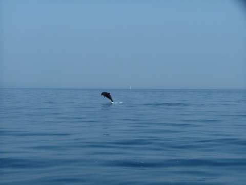 sommer2005-0335.jpg