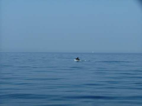 sommer2005-0336.jpg