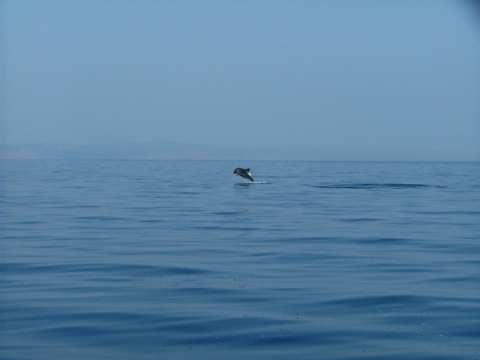 sommer2005-0340.jpg