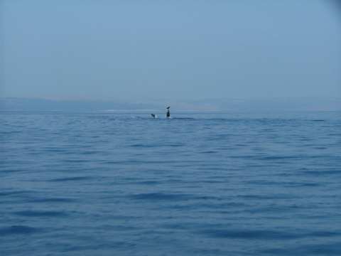 sommer2005-0358.jpg