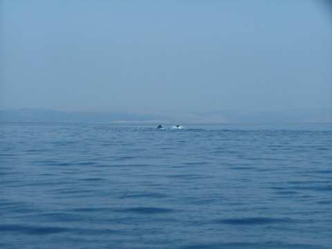 sommer2005-0359.jpg