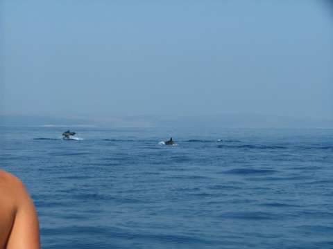 sommer2005-0370.jpg