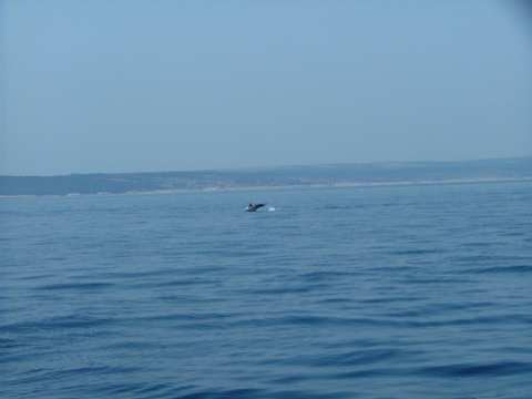 sommer2005-0380.jpg