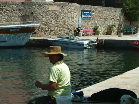 sommer2005-0386.jpg