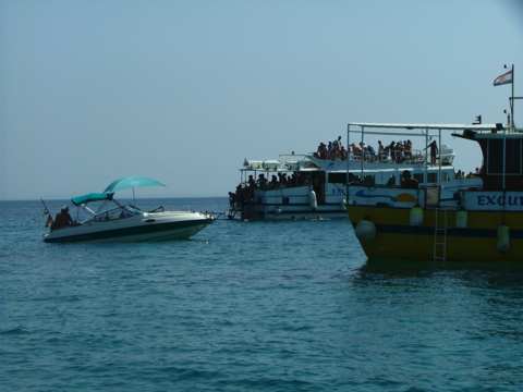 sommer2005-0395.jpg