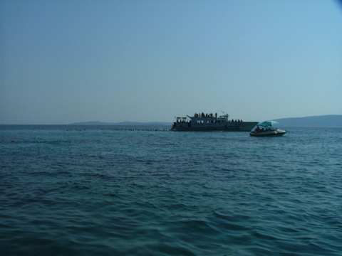 sommer2005-0398.jpg