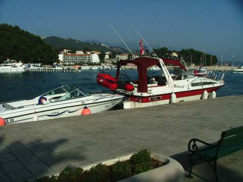 sommer2005-0410.jpg