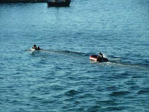 sommer2005-0458.jpg