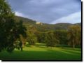sommer2005-0009.jpg