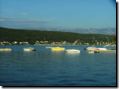 sommer2005-0173.jpg