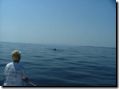 sommer2005-0313.jpg