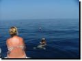 sommer2005-0316.jpg