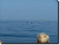 sommer2005-0318.jpg
