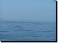 sommer2005-0351.jpg