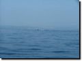 sommer2005-0359.jpg