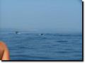 sommer2005-0370.jpg