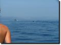 sommer2005-0371.jpg