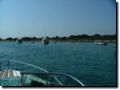 sommer2005-0397.jpg