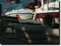 sommer2005-0409.jpg