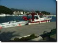 sommer2005-0410.jpg