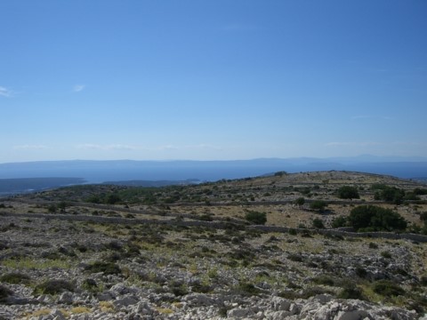 2006-07-16-0220.jpg