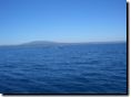 2006-07-20-0298.jpg