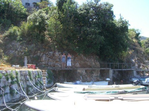 cimg0230.jpg