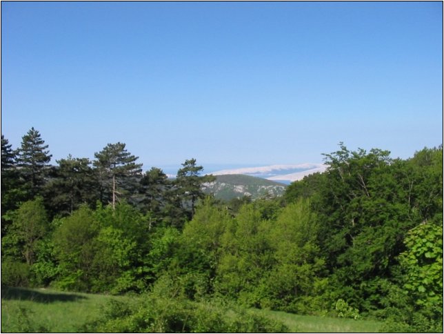 20080509100003.jpg