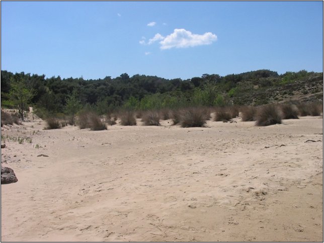 20080510131346.jpg
