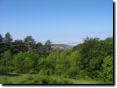20080509100003.jpg