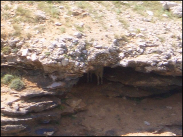 cimg4974.jpg