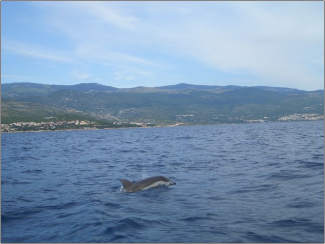cimg5083.jpg