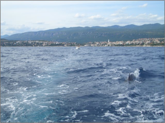 cimg5085.jpg