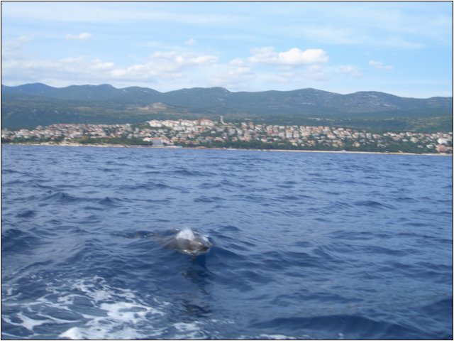 cimg5087.jpg