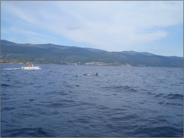 cimg5091.jpg