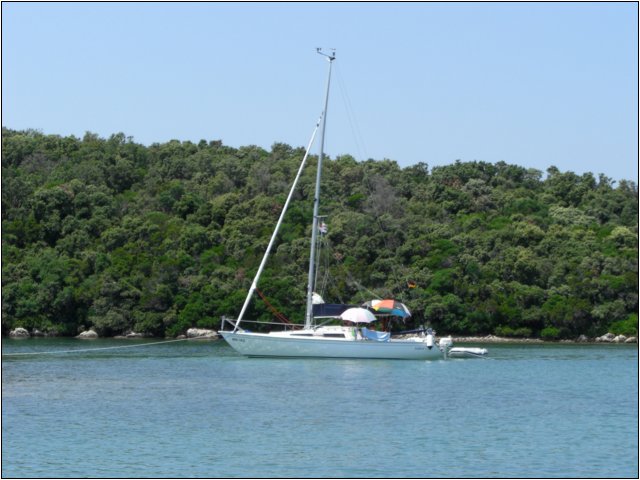 cimg0265.jpg