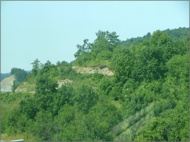 dscf6010.jpg