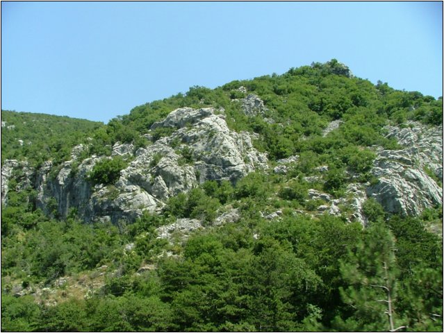 dscf6044.jpg